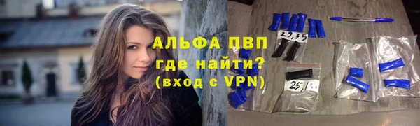 эйфоретик Аркадак