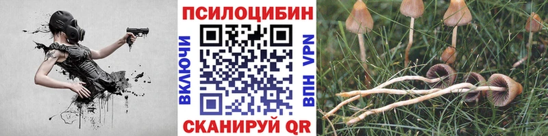 Галлюциногенные грибы Psilocybe  Талица 
